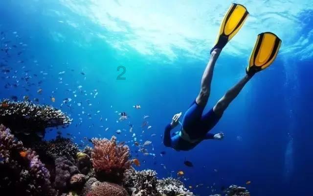 从10数到30(5个5个怎么数?-专业的知识问答网页